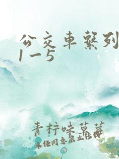 公交车系列合集1一5