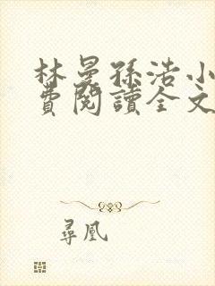 林曼孙浩小说免费阅读全文最新章节