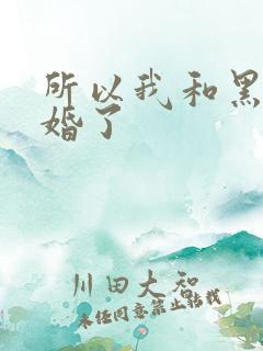 所以我和黑粉结婚了