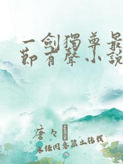 一剑独尊最新章节有声小说