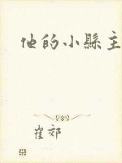 他的小县主