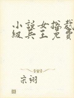 小说女总裁的超级兵王免费