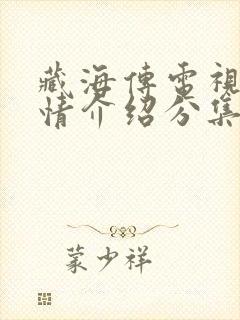 藏海传电视剧剧情介绍分集