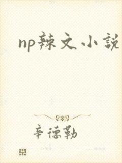 np辣文小说