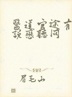 医道官途有声小说恋听网