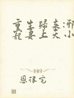 重生归来:邪王宠妻上天小说