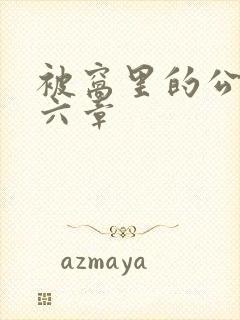 被窝里的公息十六章