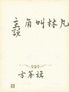 主角叫林凡的小说