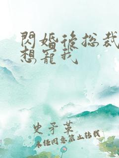 闪婚后总裁天天想宠我