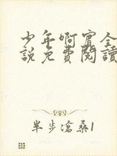 少年啊宾全文小说免费阅读笔趣阁