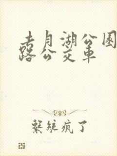 去月湖公园坐几路公交车