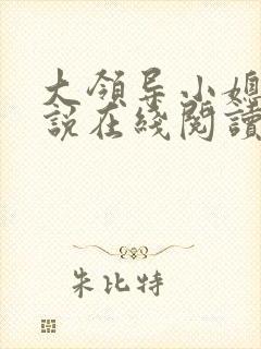 大领导小媳妇小说在线阅读