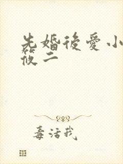 先婚后爱小说梦筱二