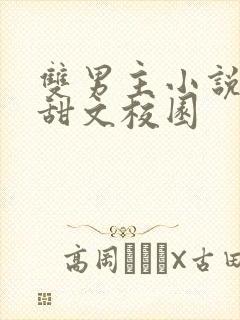 双男主小说推荐甜文校园