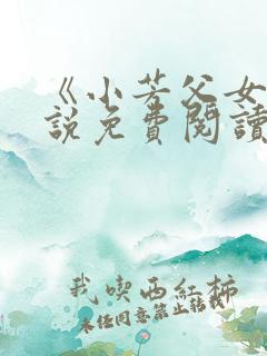 《小芳父女》小说免费阅读