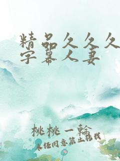 精品久久久中文字幕人妻