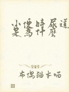 小便时尿道口疼是为什么