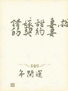 错嫁甜妻,总裁的契约妻