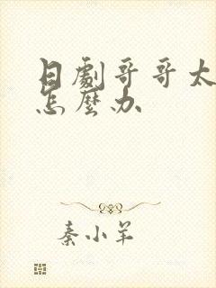 日剧哥哥太爱我怎么办