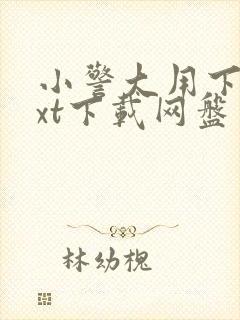 小警大用下载txt下载网盘