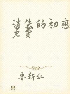 消失的初恋漫画免费