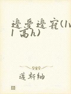 边爱边宠(1v1 高h)