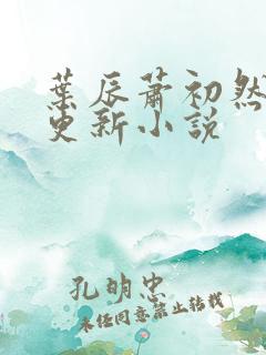 叶辰萧初然最快更新小说