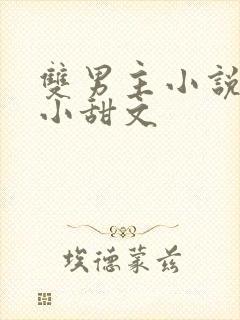 双男主小说推荐小甜文