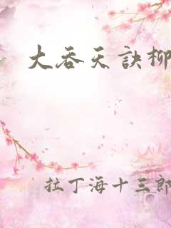 大吞天诀柳无邪