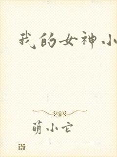 我的女神小说