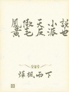 凤傲天小说里的黄毛反派也想要幸福小说