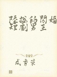 陆总的闪婚甜妻短剧男主