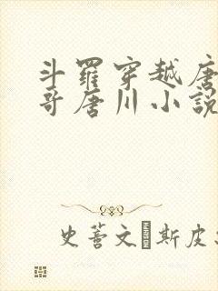 斗罗穿越唐三亲哥唐川小说