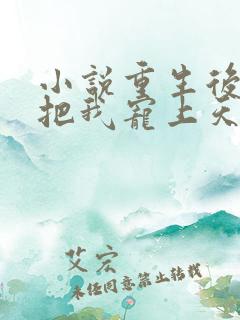 小说重生后渣总把我宠上天txt