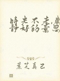 时光不老,岁月静好的意思