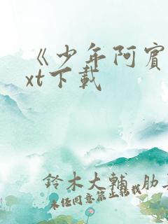 《少年阿宾》txt下载