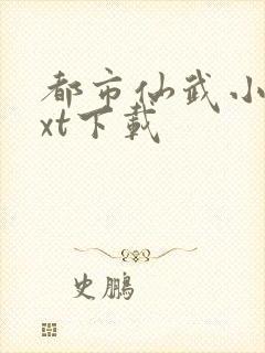 都市仙武小说txt下载