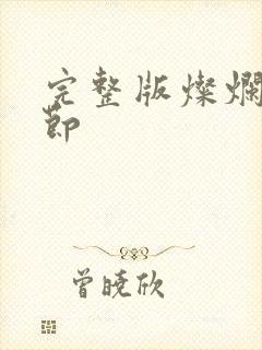 完整版灿烂的季节