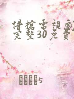 借枪电视剧全集完整30免费观看