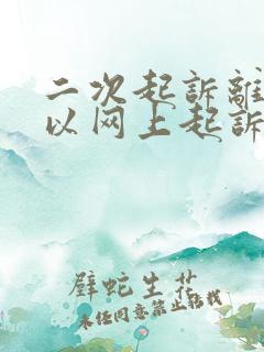 二次起诉离婚可以网上起诉办理吗