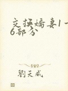 交换娇妻1一36部分