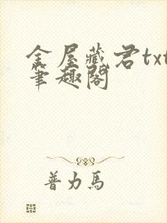 金屋藏君txt笔趣阁