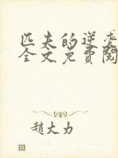 匹夫的逆袭小说全文免费阅读