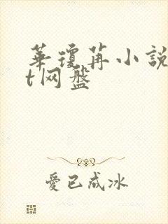 华琼苒小说txt网盘