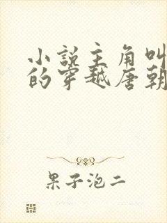 小说主角叫李辰的穿越唐朝小说