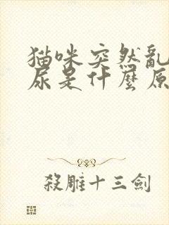 猫咪突然乱拉乱尿是什么原因引起的