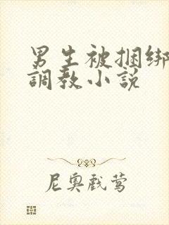 男生被捆绑束缚调教小说