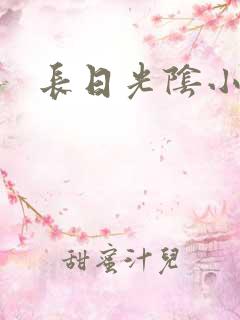 长日光阴小说