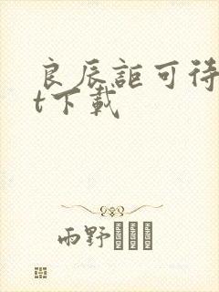 良辰讵可待txt下载