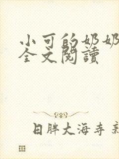 小可的奶奶小说全文阅读